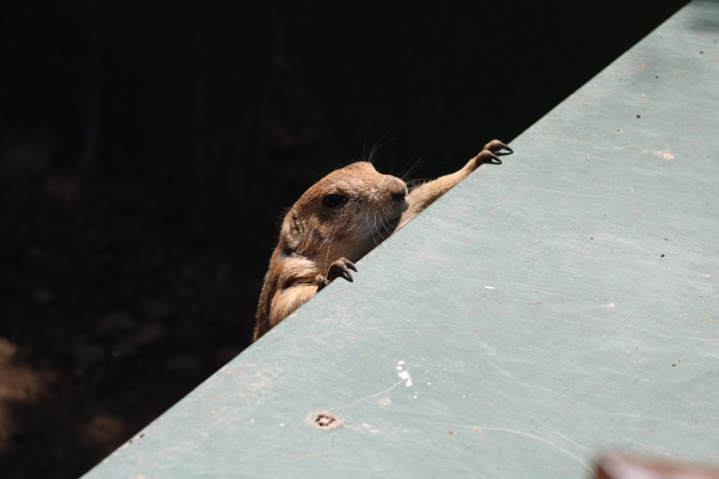 My Photography Highlights